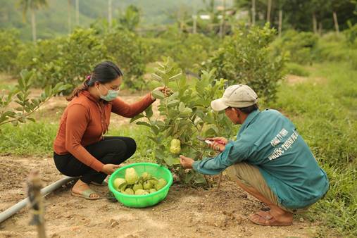 Ban hành Bộ tiêu chí xã nông thôn mới giai đoạn 2021 - 2025