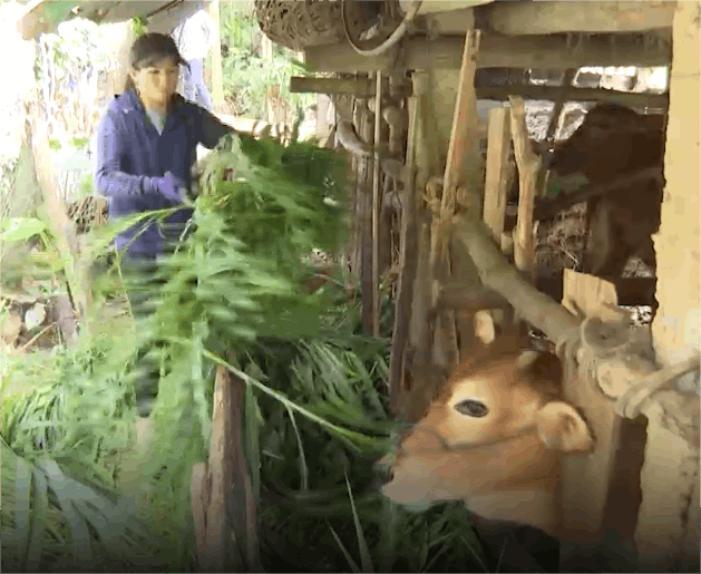 Hoàn cảnh đáng thương của người mẹ trẻ